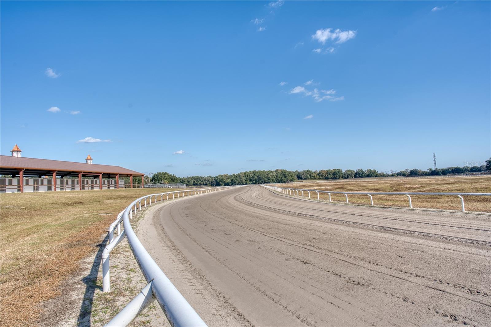 1345 NE 155 PLACE, CITRA, FL, 32113