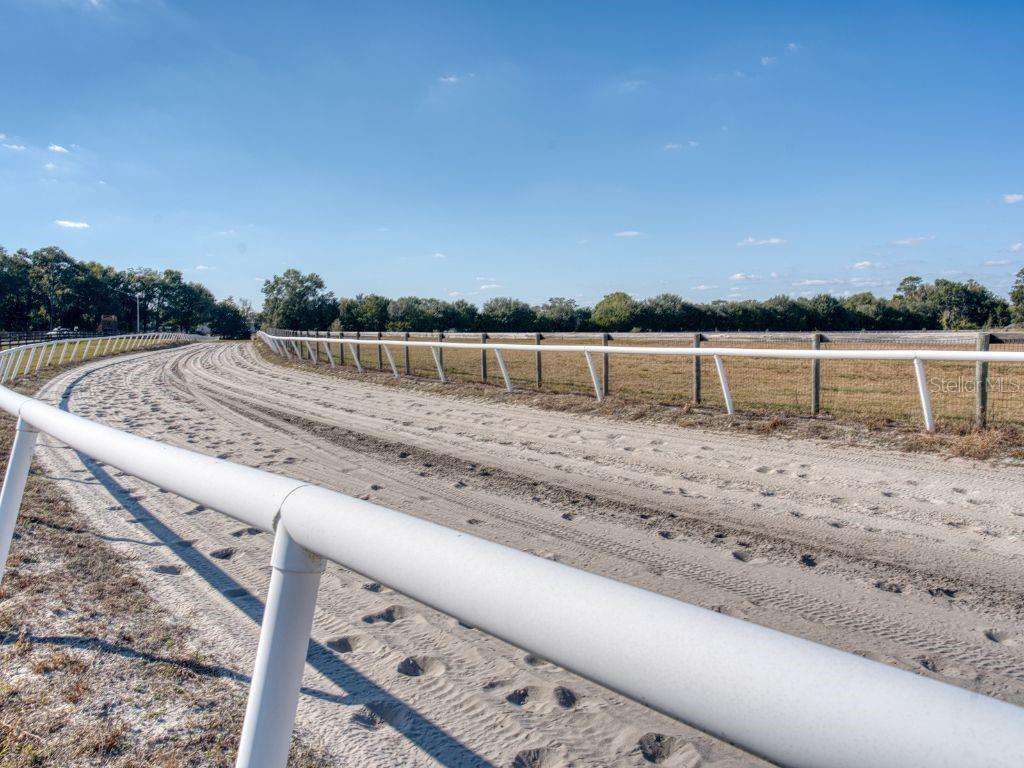 1345 NE 155 PLACE, CITRA, FL, 32113