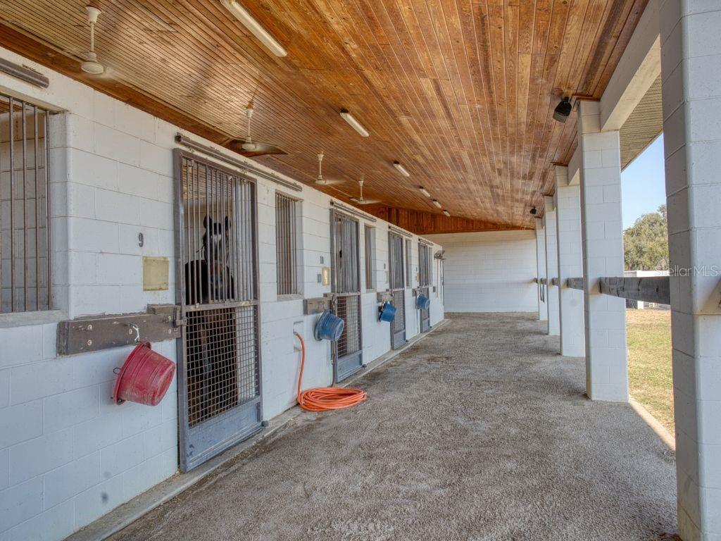 1345 NE 155 PLACE, CITRA, FL, 32113