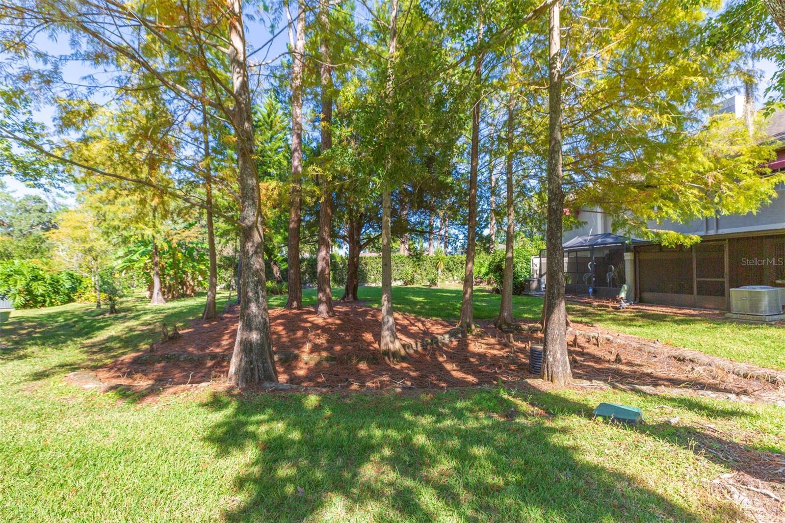 14123 TROUVILLE DR, TAMPA, FL, 33624