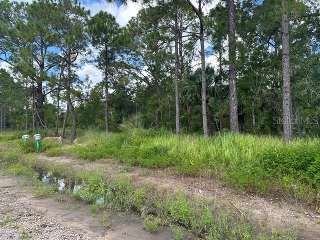 274 SPOONBILL DR, POINCIANA, FL, 34759