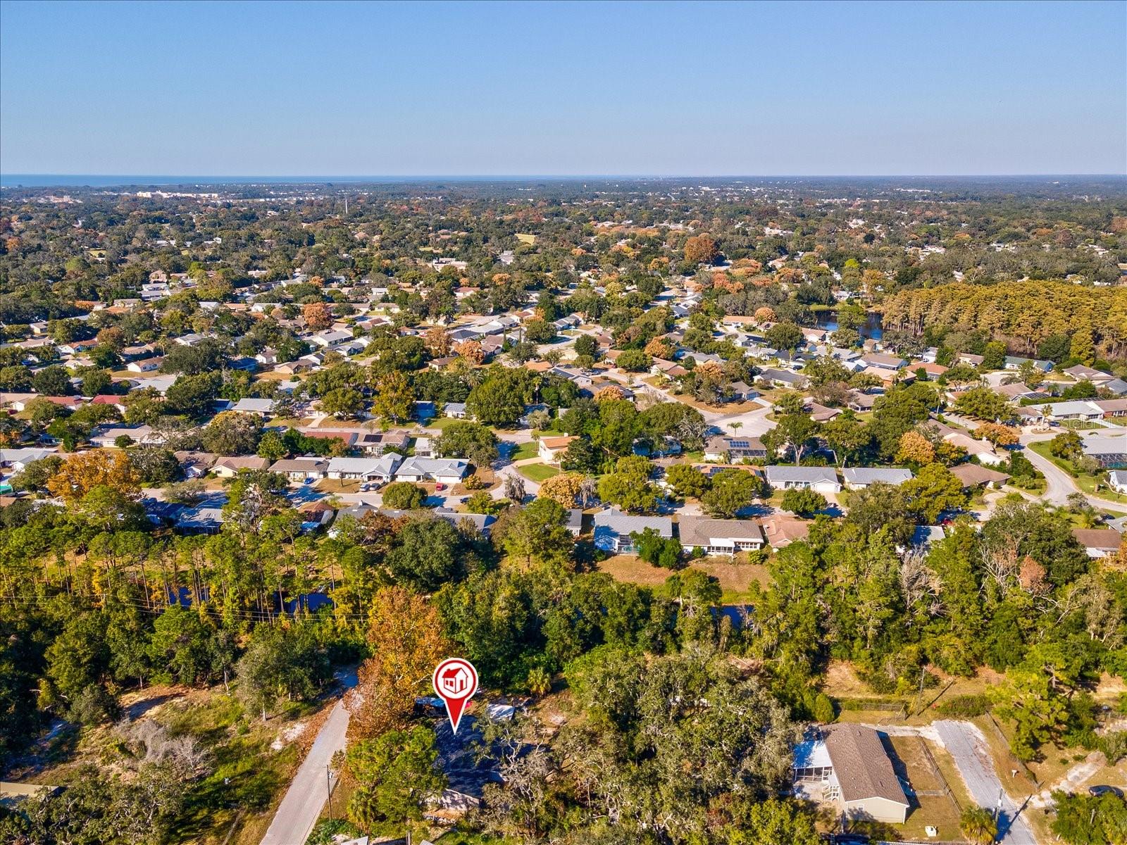 12218 ELKTON AVE, HUDSON, FL, 34667