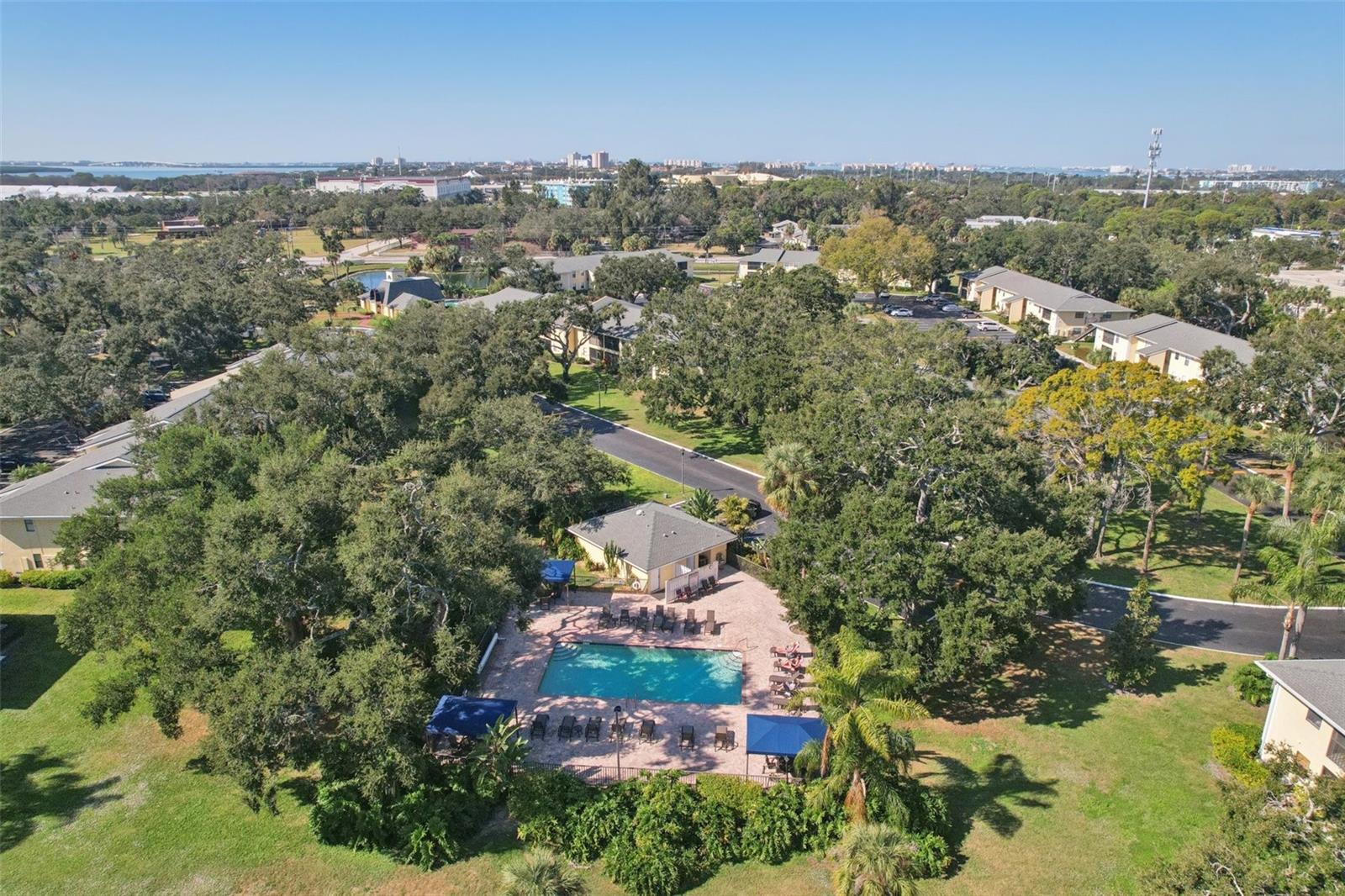 3001 58TH AVE S #203, ST PETERSBURG, FL, 33712