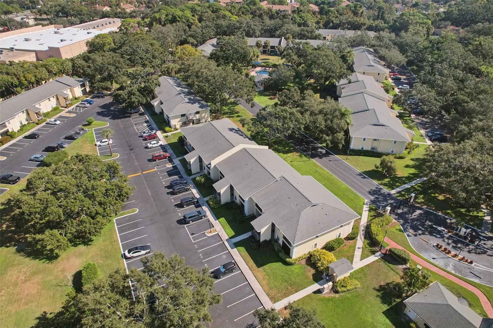 3001 58TH AVE S #203, ST PETERSBURG, FL, 33712