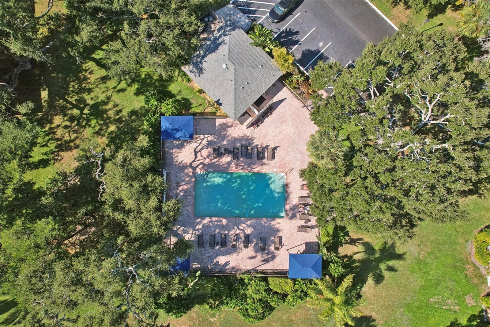 3001 58TH AVE S #203, ST PETERSBURG, FL, 33712