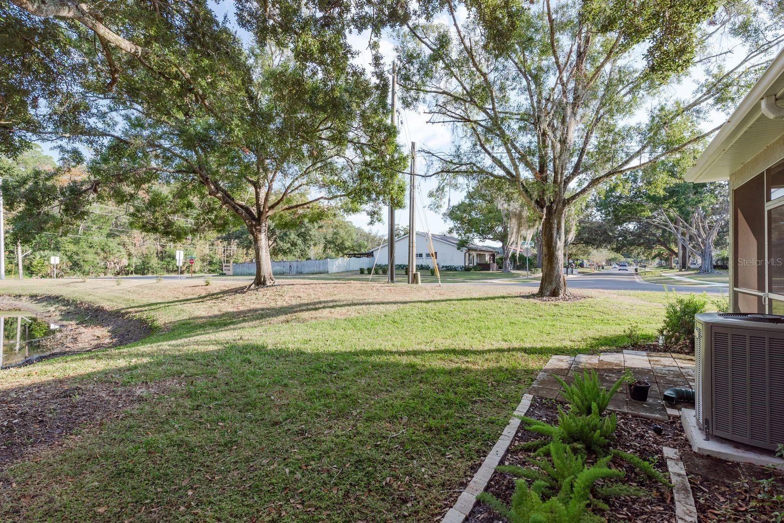 3141 BROOKER CREEK WAY, PALM HARBOR, FL, 34685