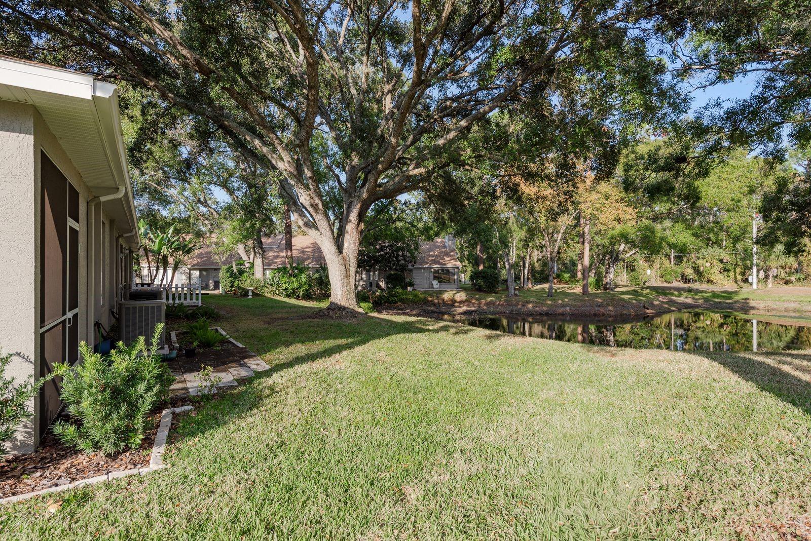 3141 BROOKER CREEK WAY, PALM HARBOR, FL, 34685
