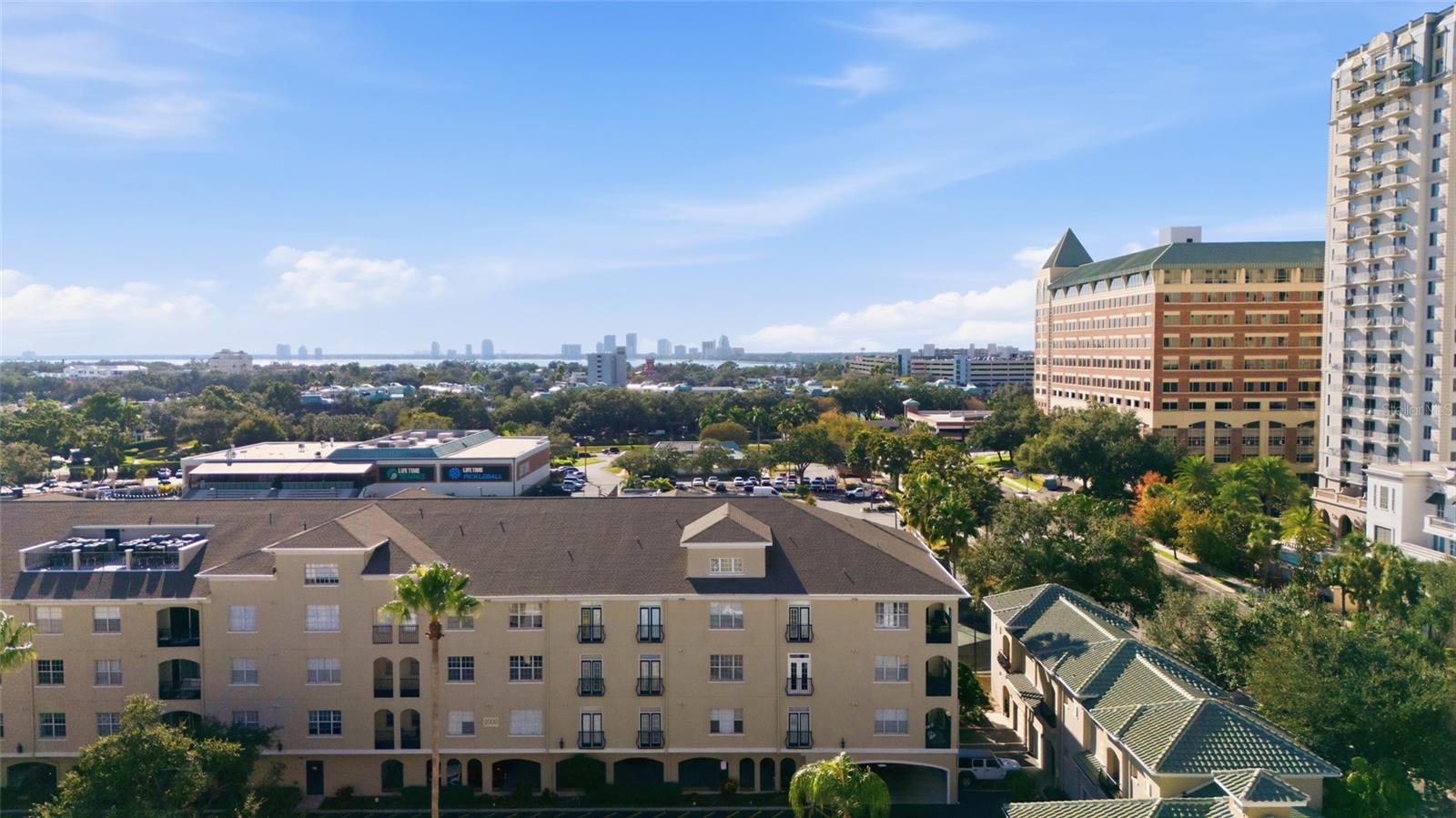 501 KNIGHTS RUN AVE #2208, TAMPA, FL, 33602