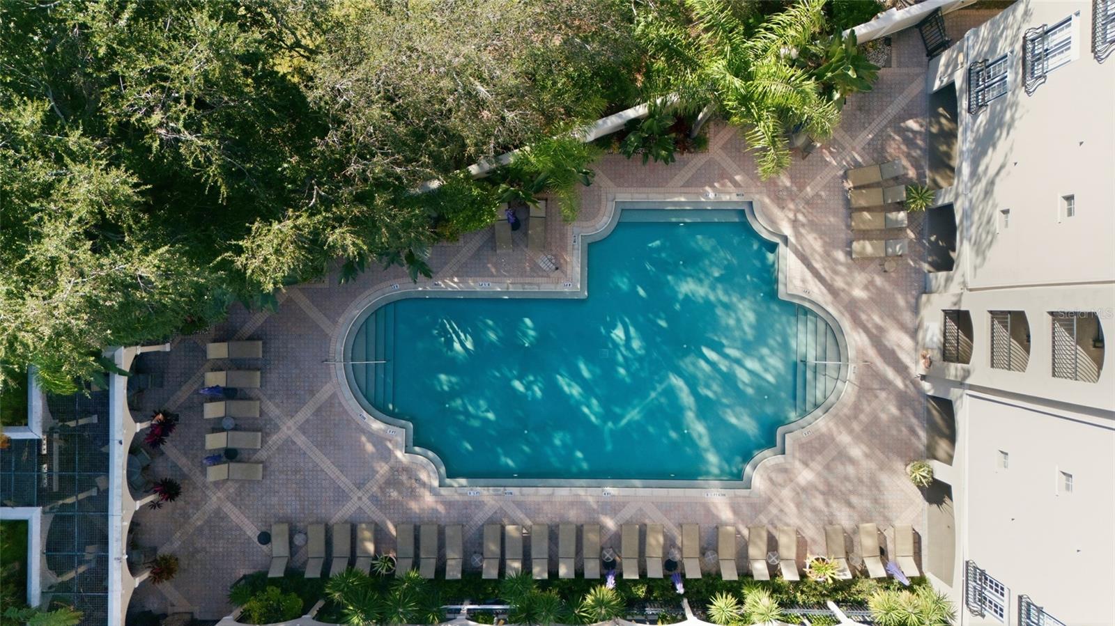 501 KNIGHTS RUN AVE #2208, TAMPA, FL, 33602