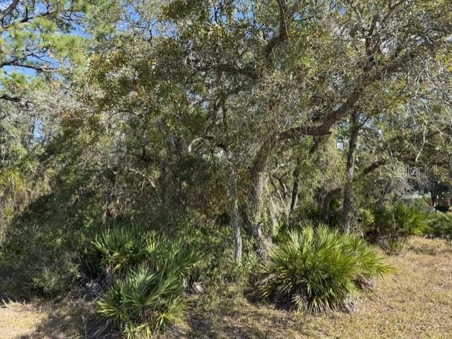 9180 NIGHTINGALE, WEEKI WACHEE, FL, 34613