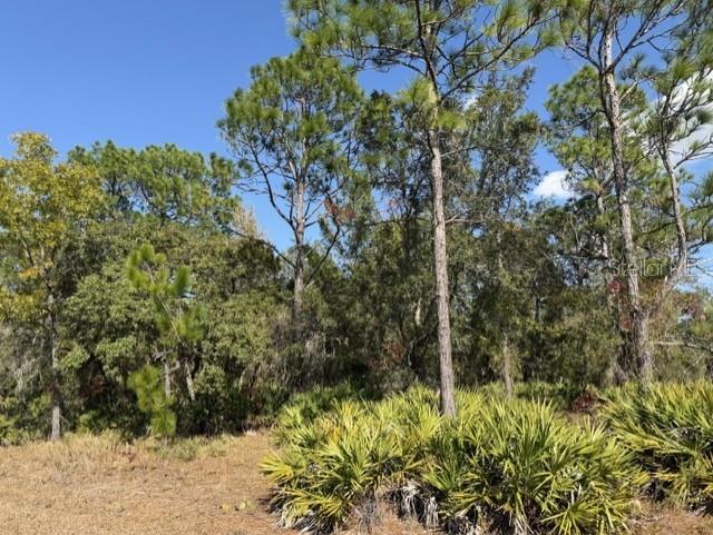 9180 NIGHTINGALE, WEEKI WACHEE, FL, 34613