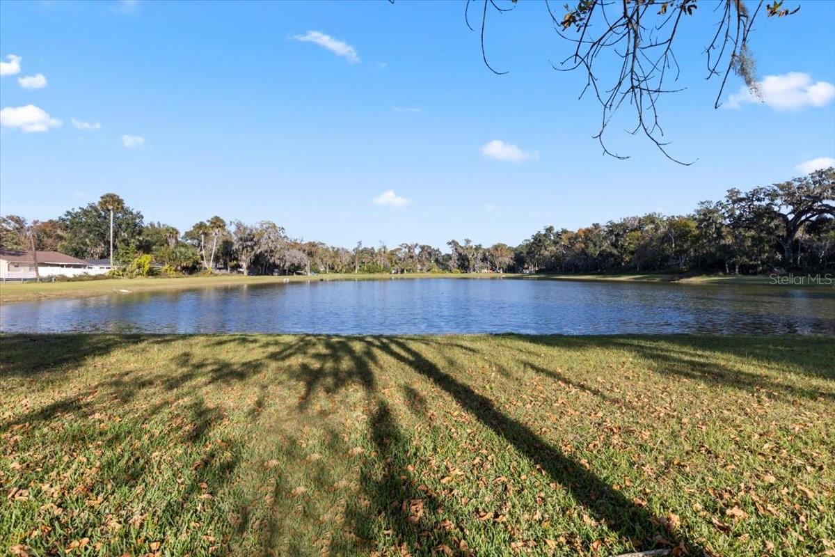 1020 CALLE GRANDE ST, ORMOND BEACH, FL, 32174