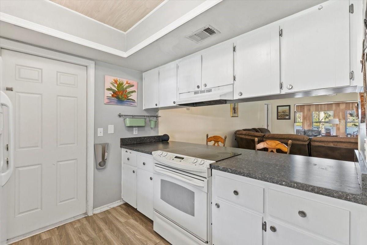 1020 CALLE GRANDE ST, ORMOND BEACH, FL, 32174