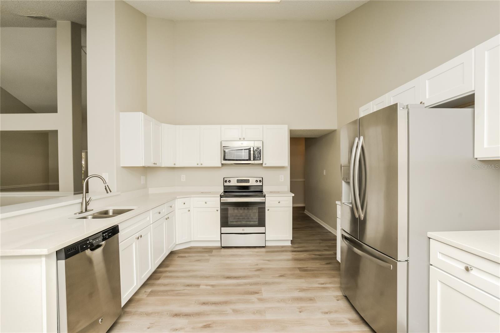 1309 MONTE LAKE DR, VALRICO, FL, 33596