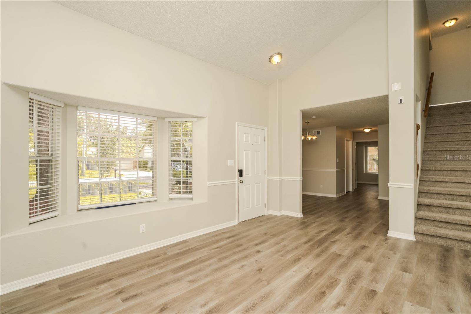 1309 MONTE LAKE DR, VALRICO, FL, 33596