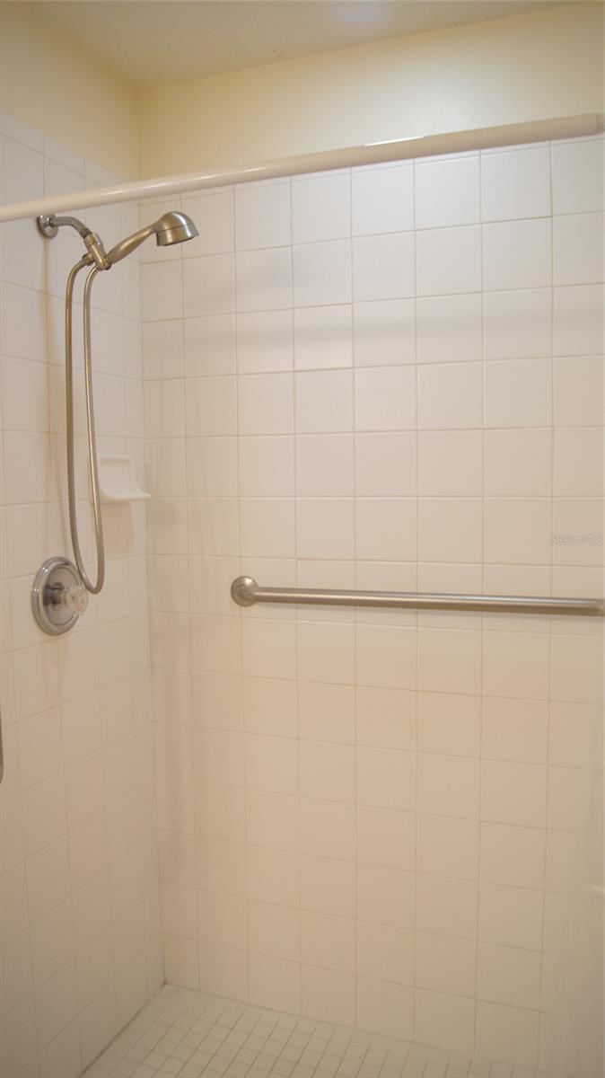 10314 PATRICK DR, LEESBURG, FL, 34788