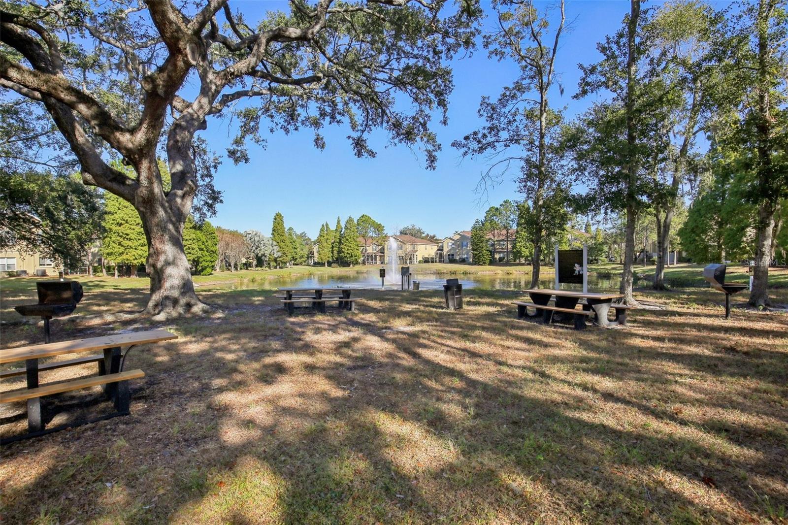 10545 SHADY FALLS CT, RIVERVIEW, FL, 33578