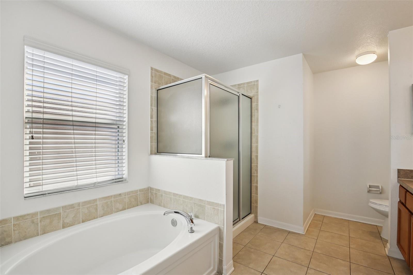 10545 SHADY FALLS CT, RIVERVIEW, FL, 33578