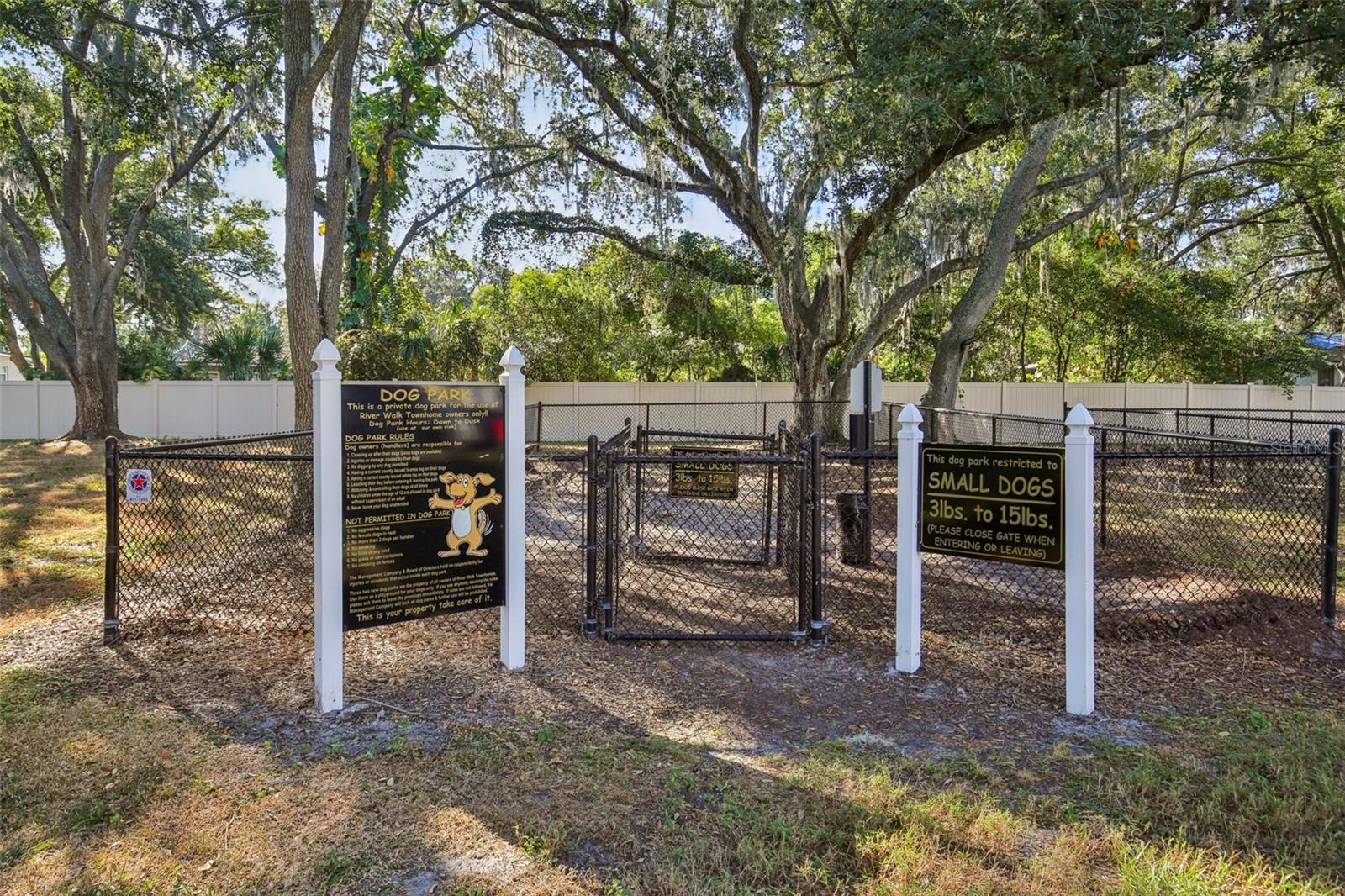 10545 SHADY FALLS CT, RIVERVIEW, FL, 33578