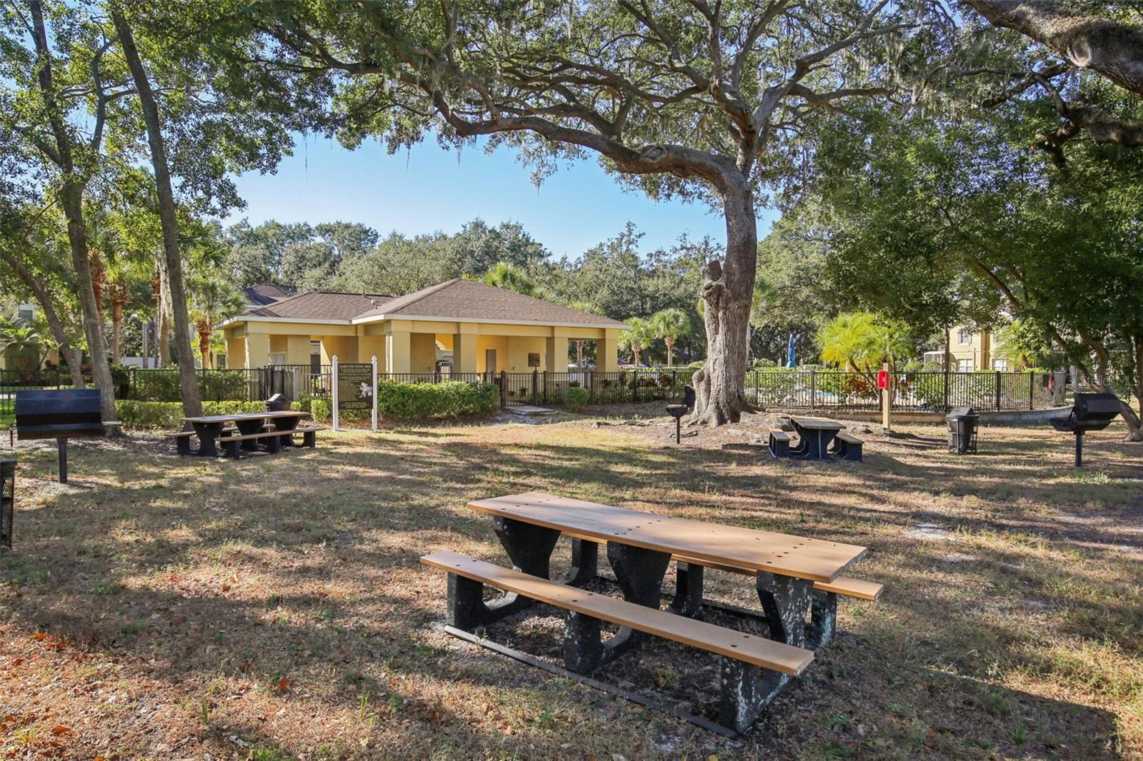 10545 SHADY FALLS CT, RIVERVIEW, FL, 33578