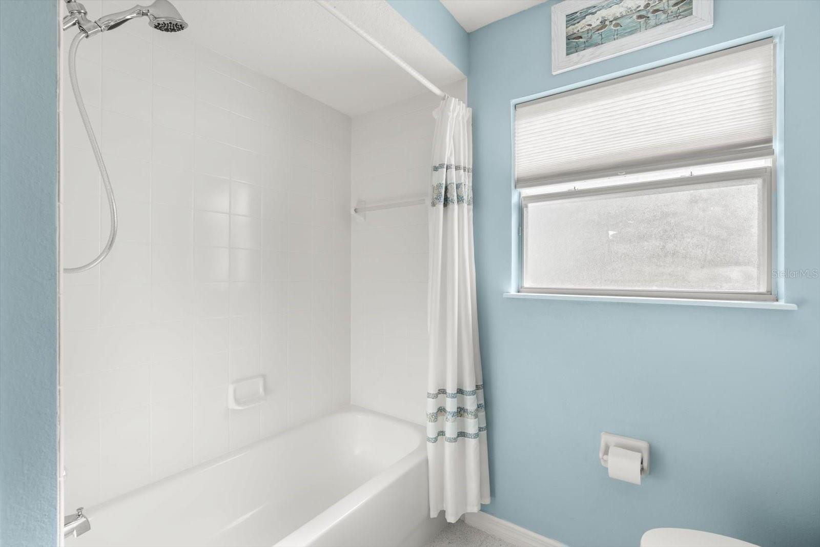 23604 VALDERAMA LN, SORRENTO, FL, 32776