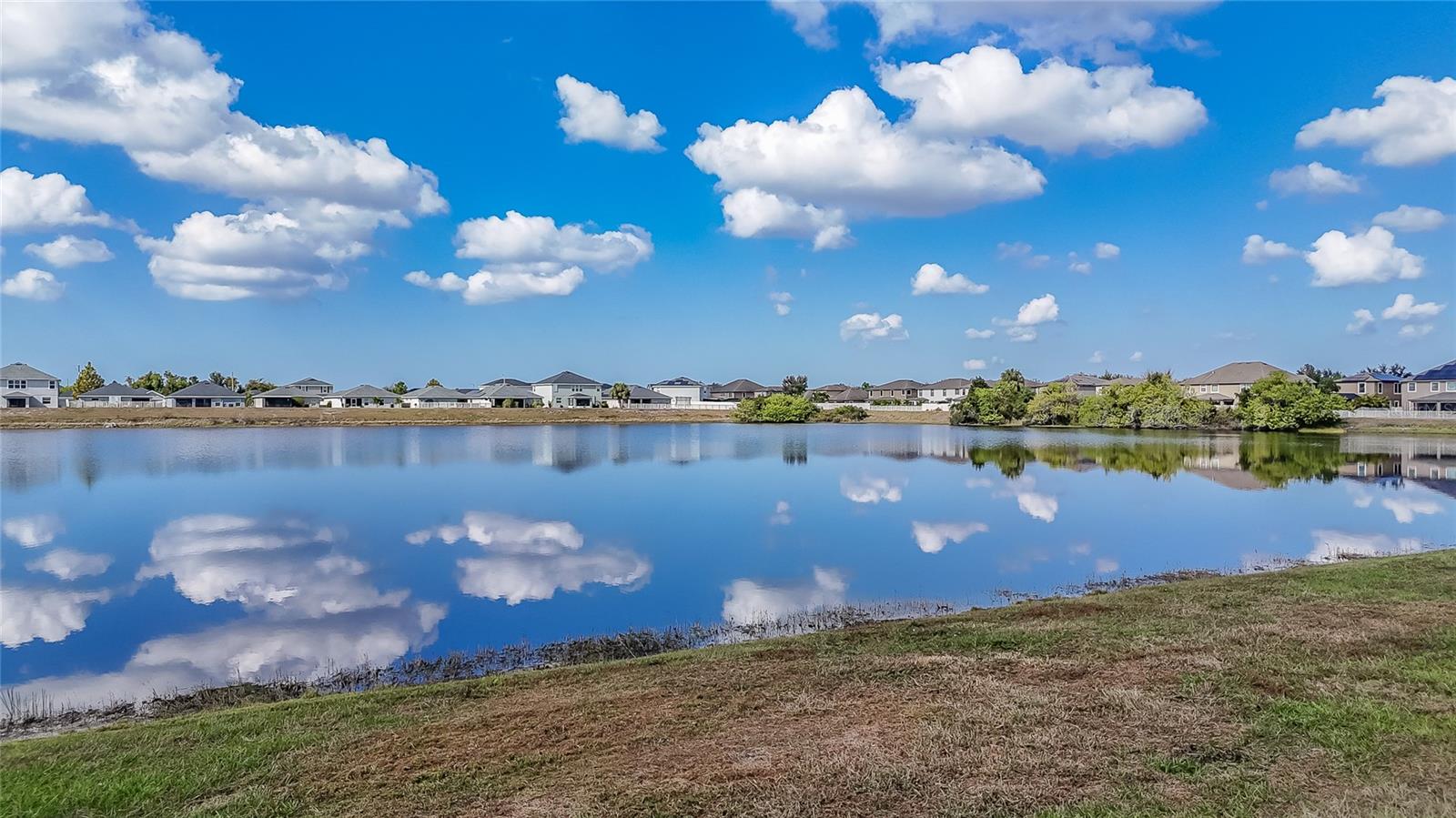 11889 DOWNY BIRCH DR, RIVERVIEW, FL, 33569