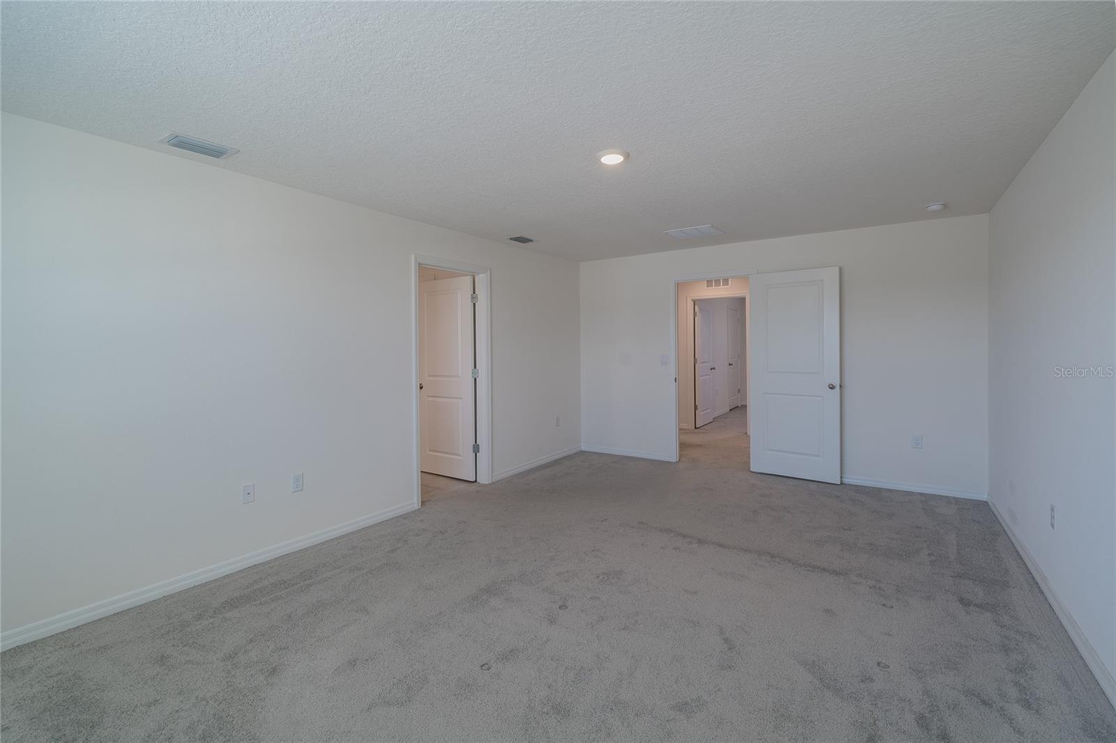 11889 DOWNY BIRCH DR, RIVERVIEW, FL, 33569