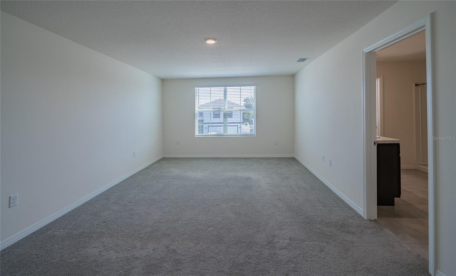 11889 DOWNY BIRCH DR, RIVERVIEW, FL, 33569