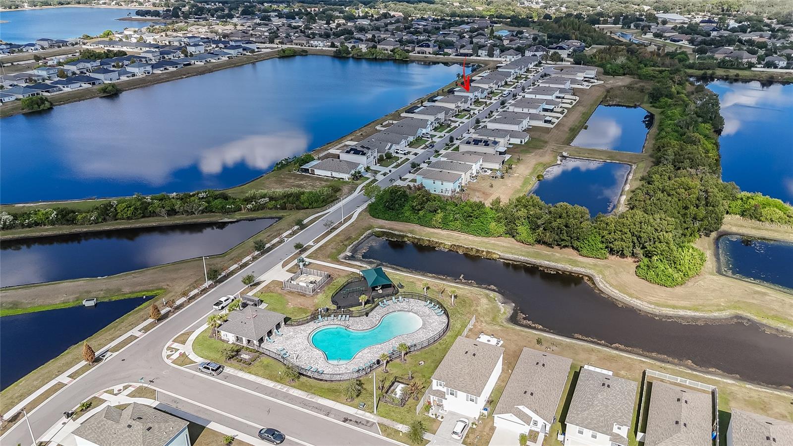 11889 DOWNY BIRCH DR, RIVERVIEW, FL, 33569