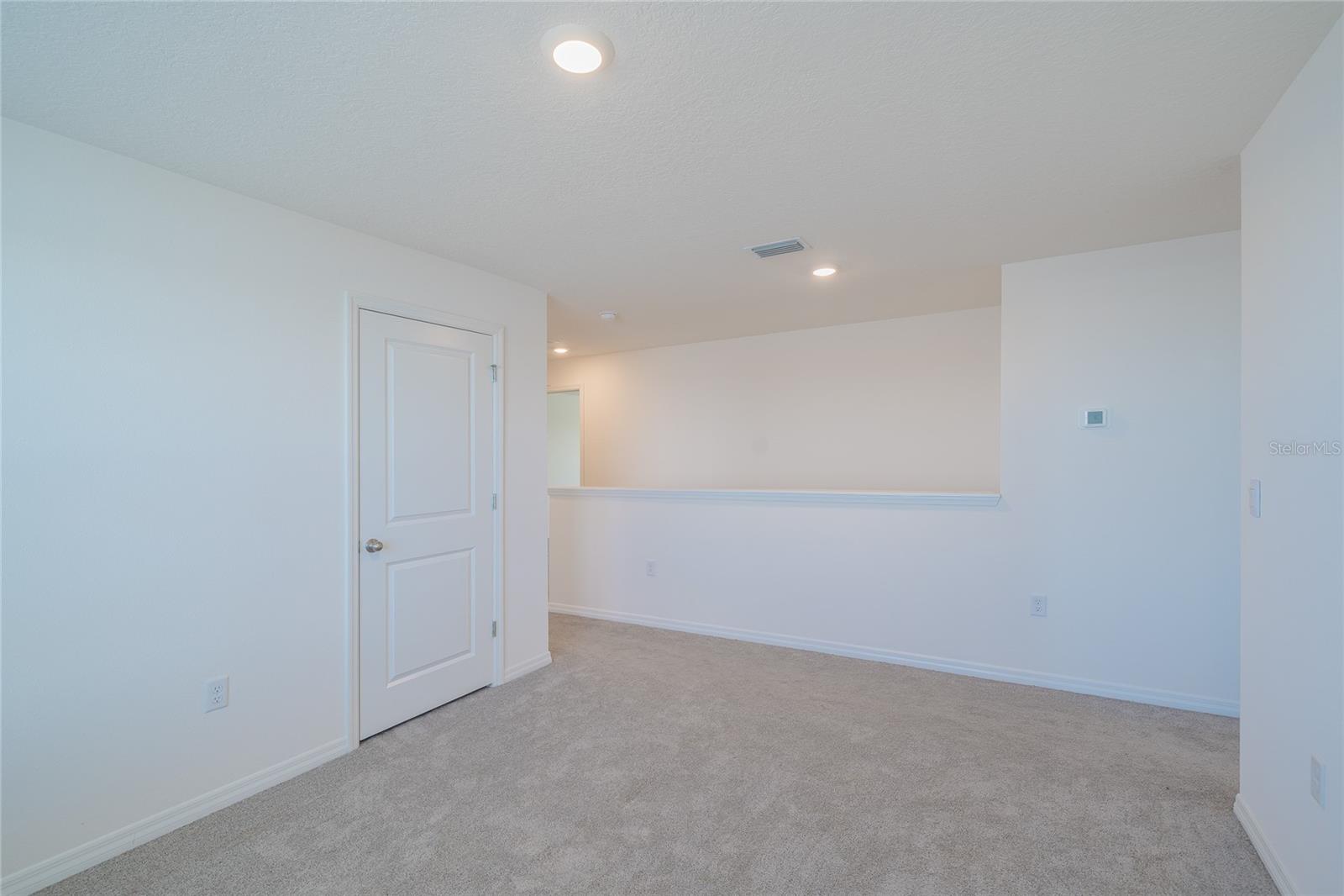 11889 DOWNY BIRCH DR, RIVERVIEW, FL, 33569