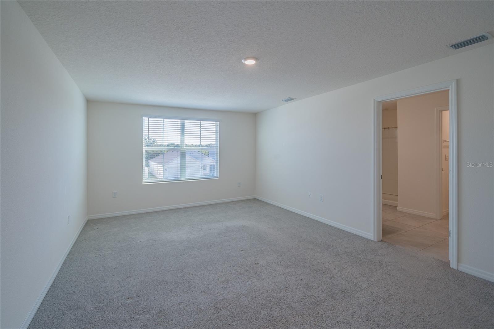 11889 DOWNY BIRCH DR, RIVERVIEW, FL, 33569