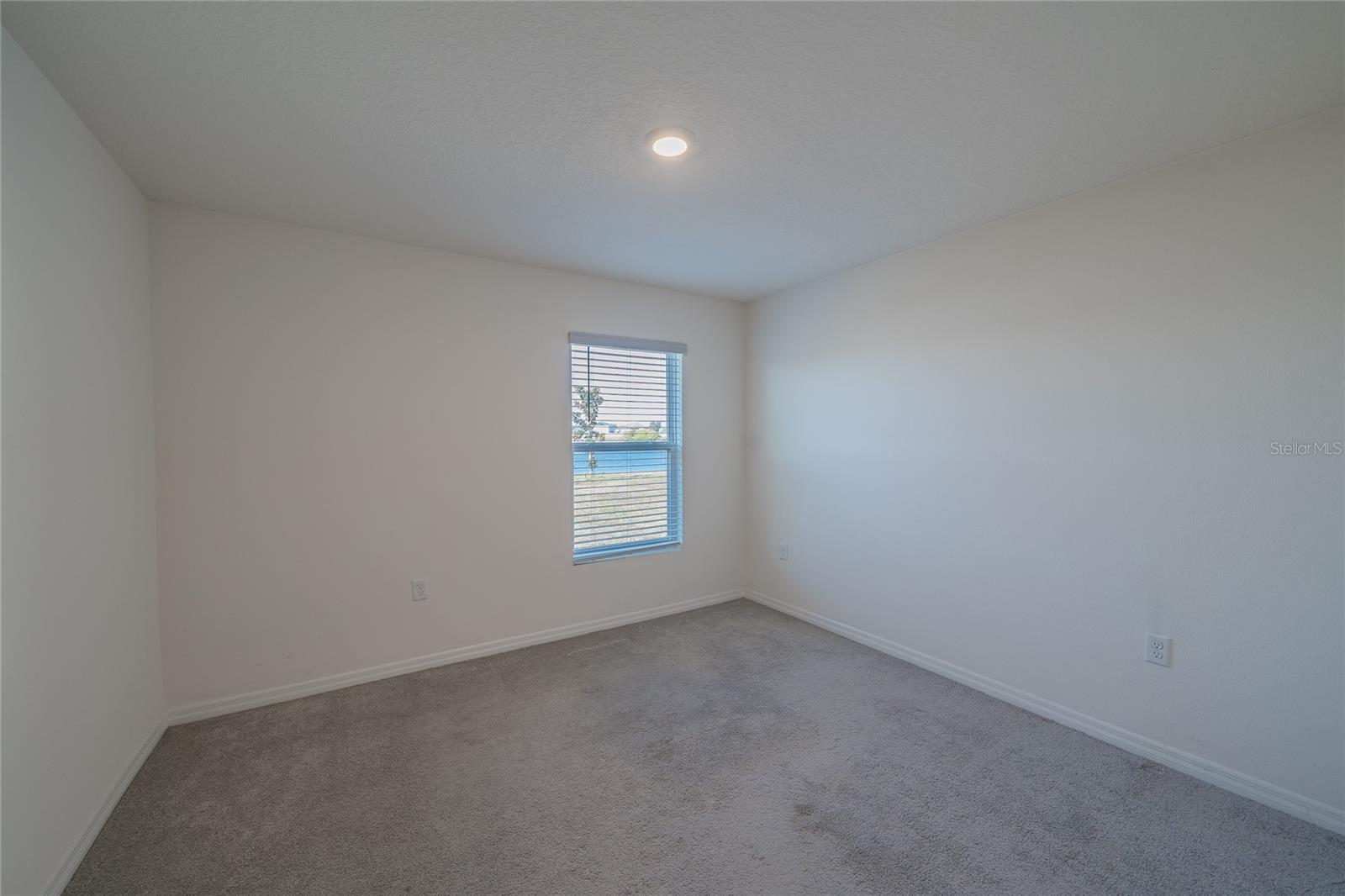 11889 DOWNY BIRCH DR, RIVERVIEW, FL, 33569