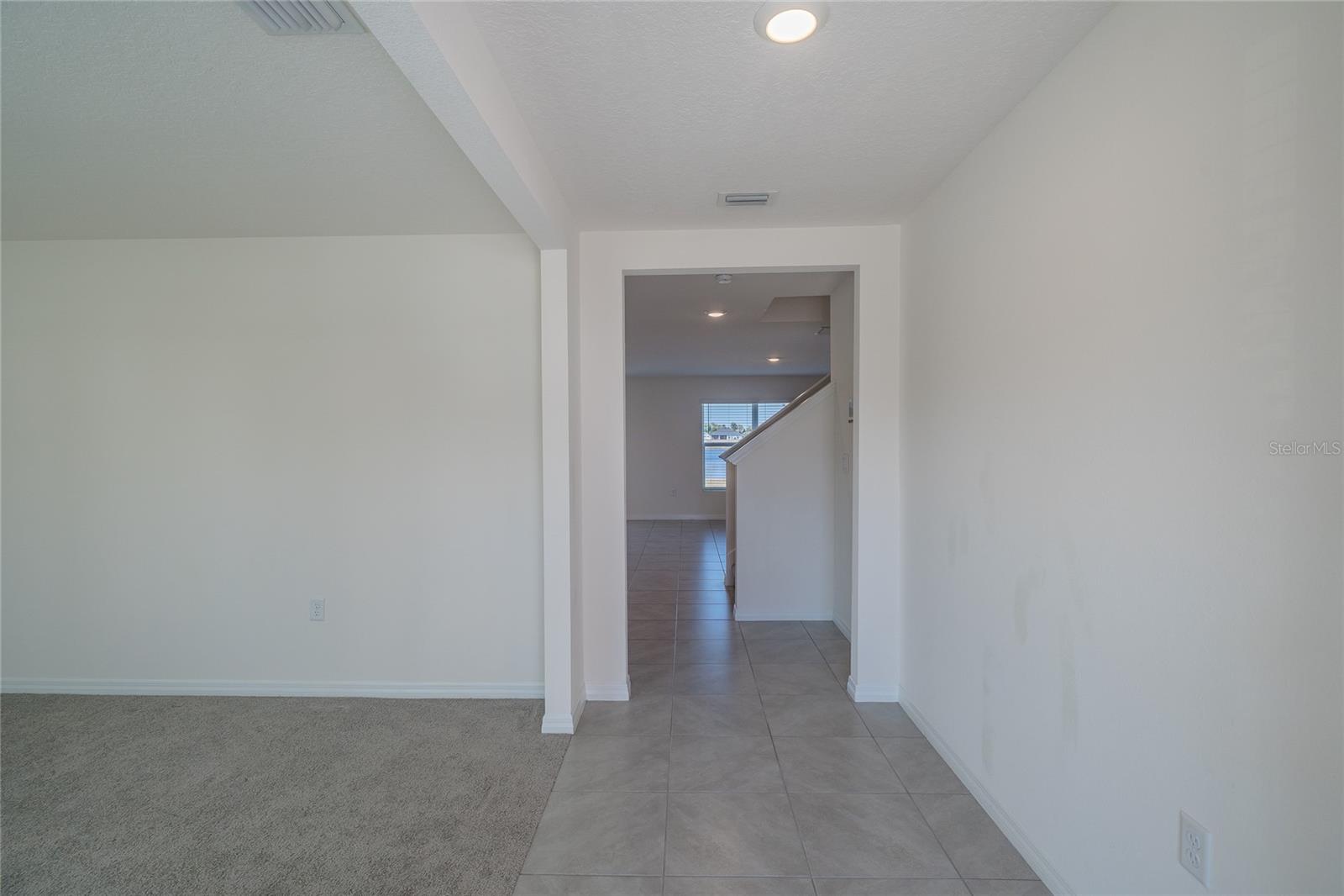 11889 DOWNY BIRCH DR, RIVERVIEW, FL, 33569