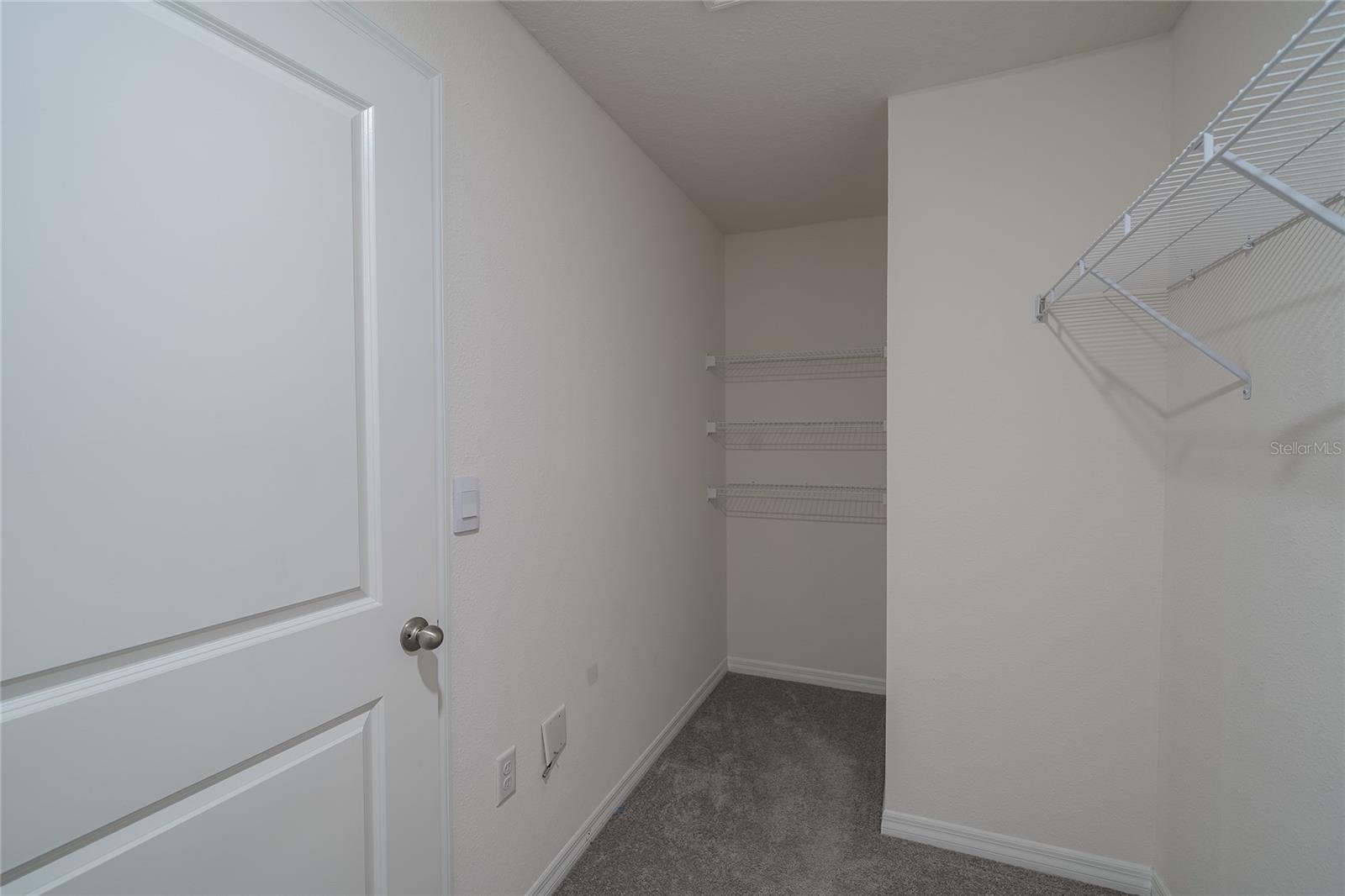 11889 DOWNY BIRCH DR, RIVERVIEW, FL, 33569