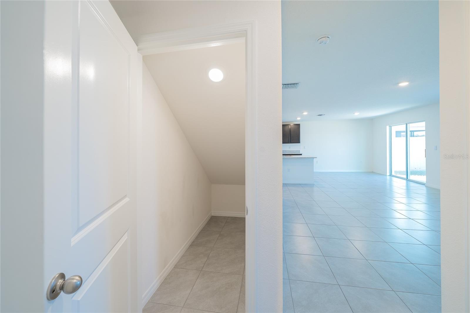 11889 DOWNY BIRCH DR, RIVERVIEW, FL, 33569