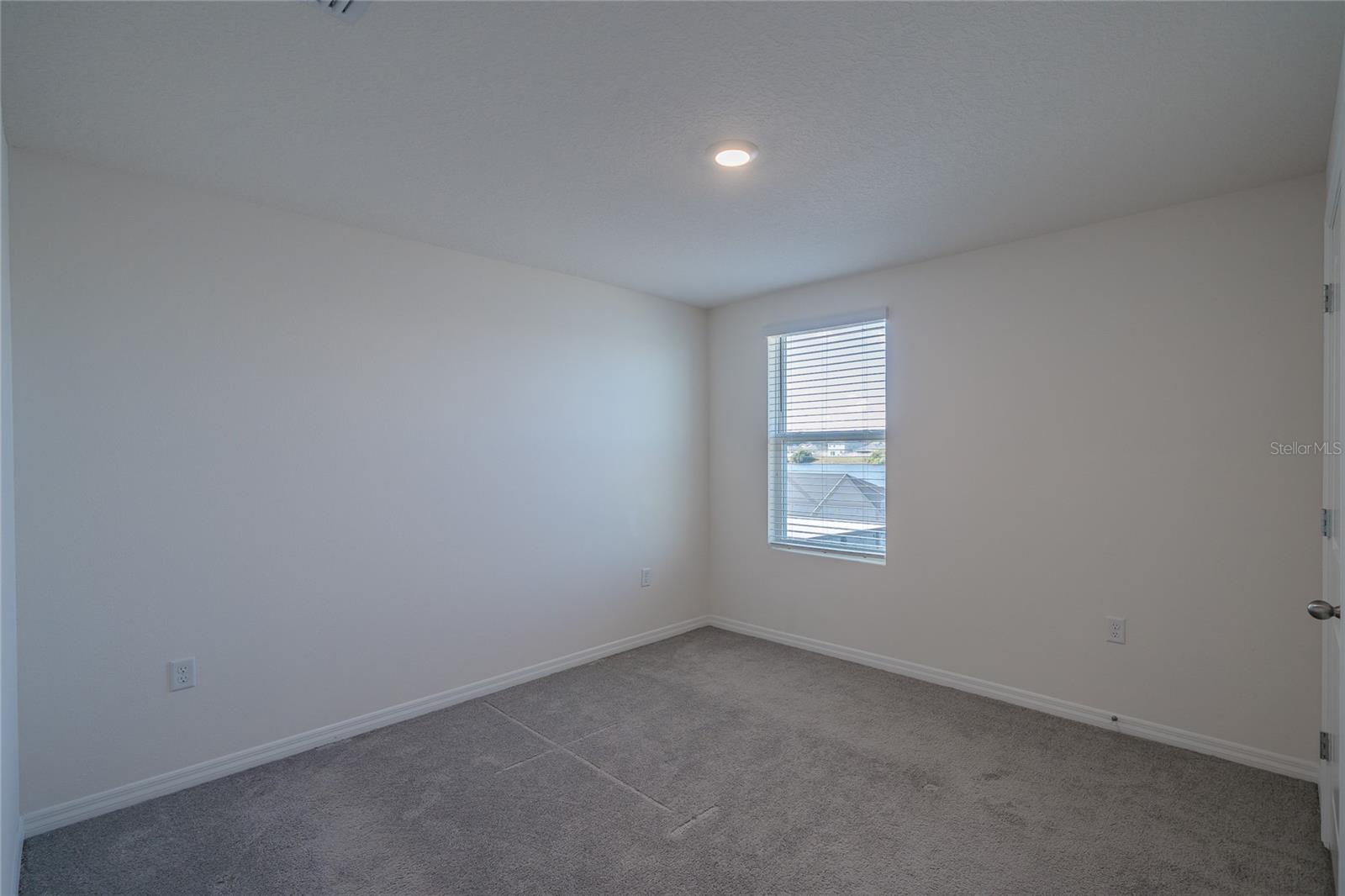 11889 DOWNY BIRCH DR, RIVERVIEW, FL, 33569