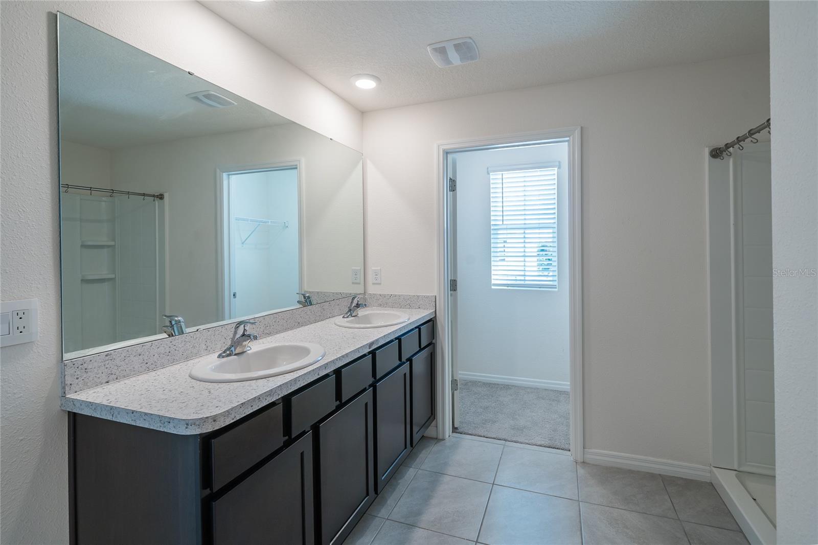 11889 DOWNY BIRCH DR, RIVERVIEW, FL, 33569