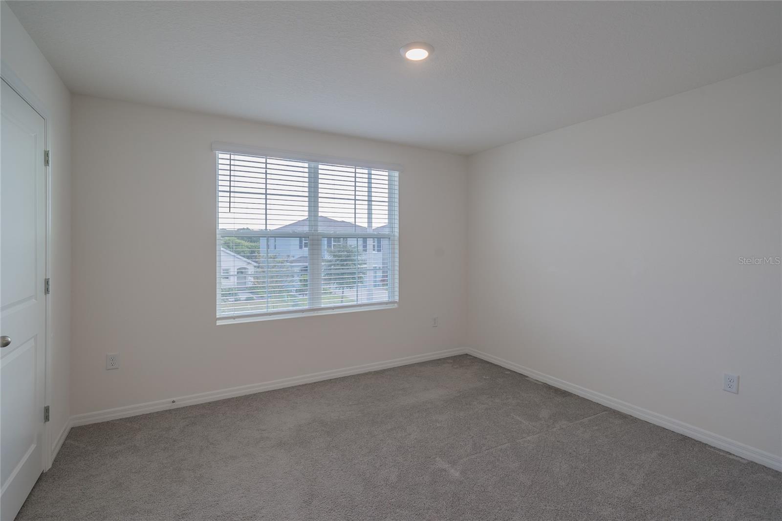 11889 DOWNY BIRCH DR, RIVERVIEW, FL, 33569