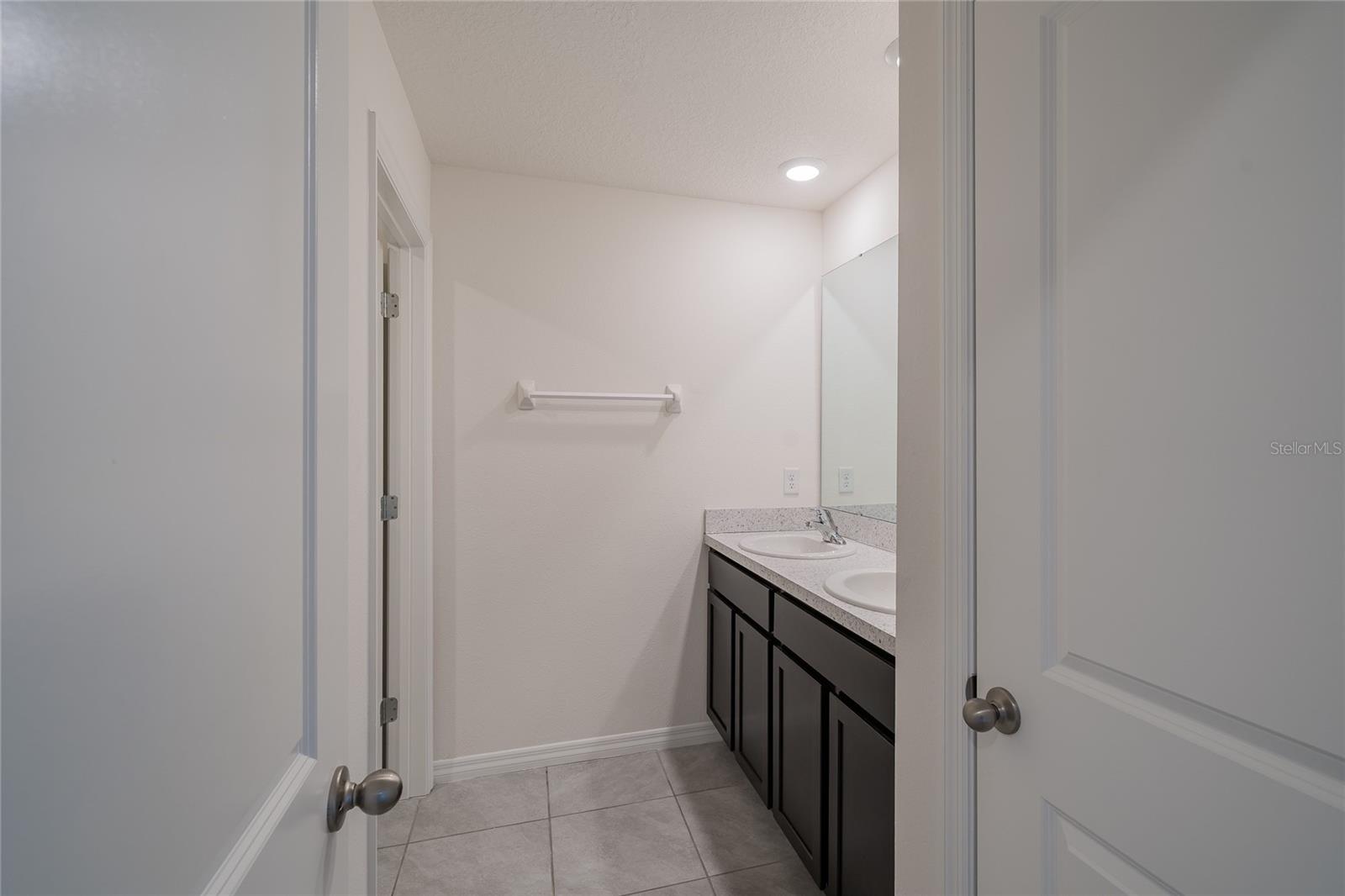 11889 DOWNY BIRCH DR, RIVERVIEW, FL, 33569