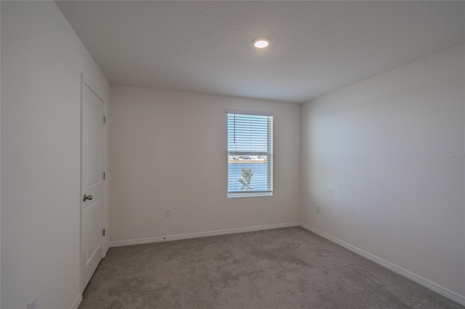 11889 DOWNY BIRCH DR, RIVERVIEW, FL, 33569