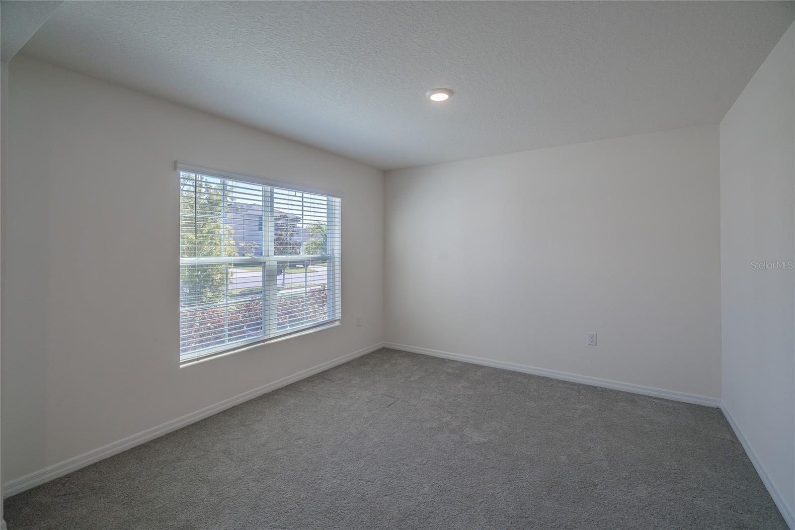 11889 DOWNY BIRCH DR, RIVERVIEW, FL, 33569