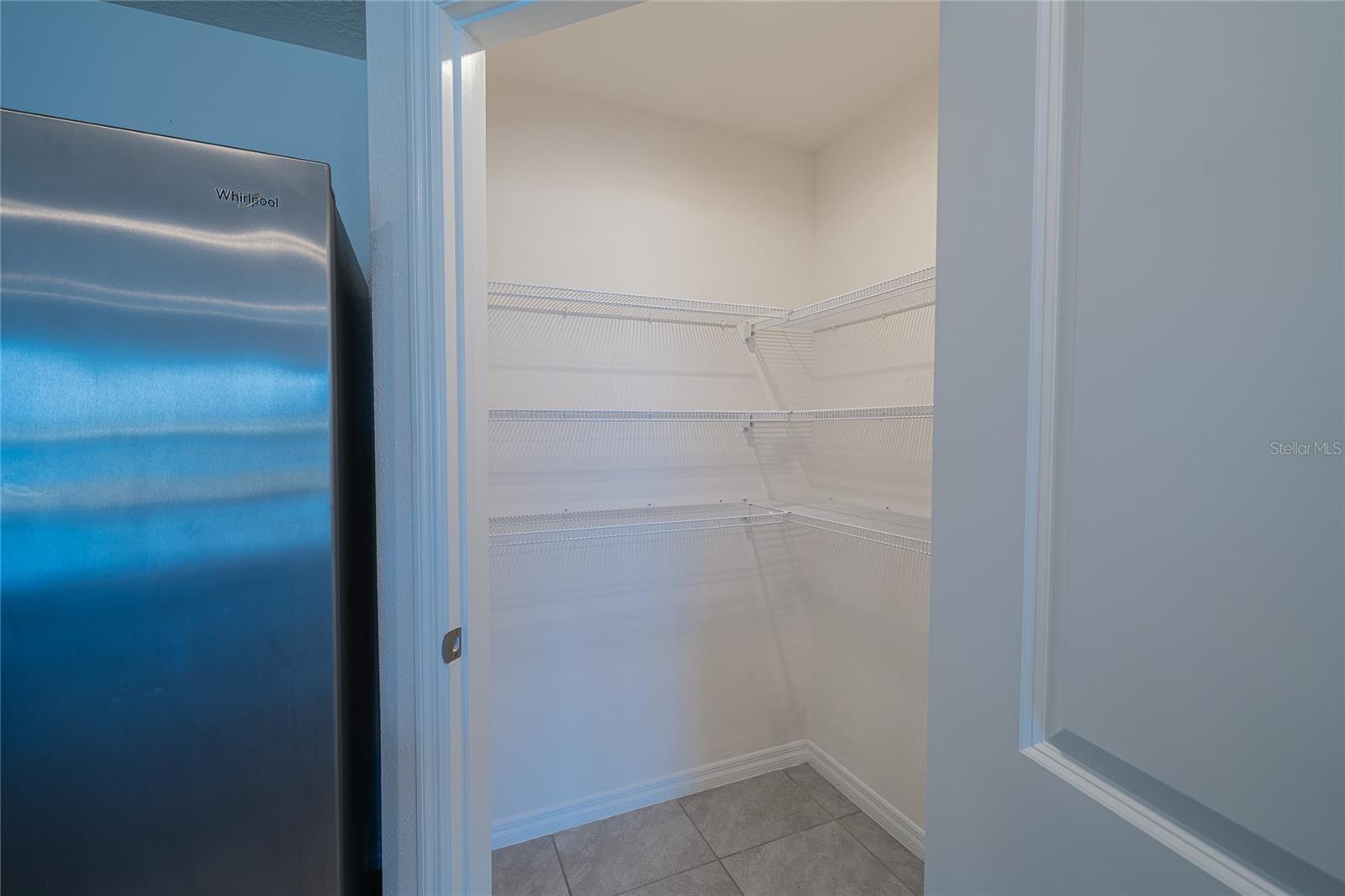 11889 DOWNY BIRCH DR, RIVERVIEW, FL, 33569