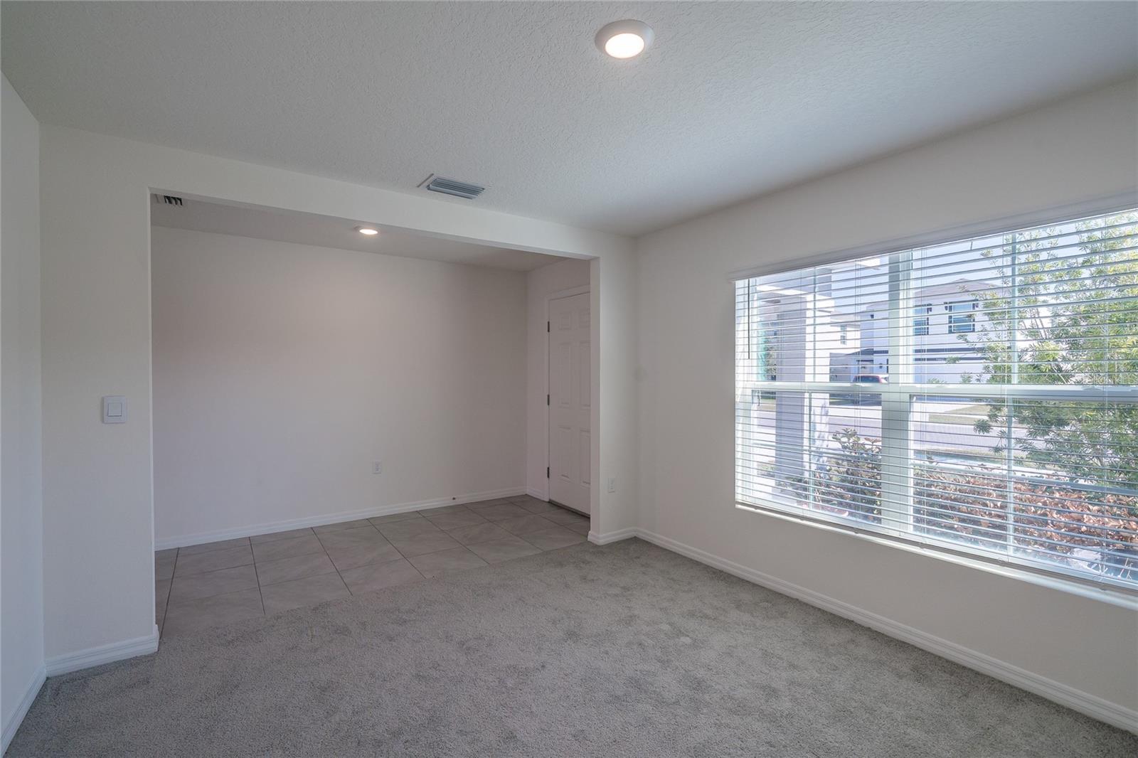 11889 DOWNY BIRCH DR, RIVERVIEW, FL, 33569