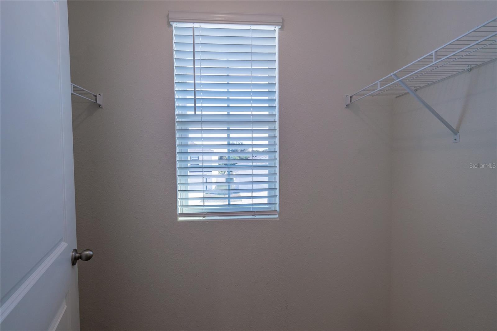 11889 DOWNY BIRCH DR, RIVERVIEW, FL, 33569