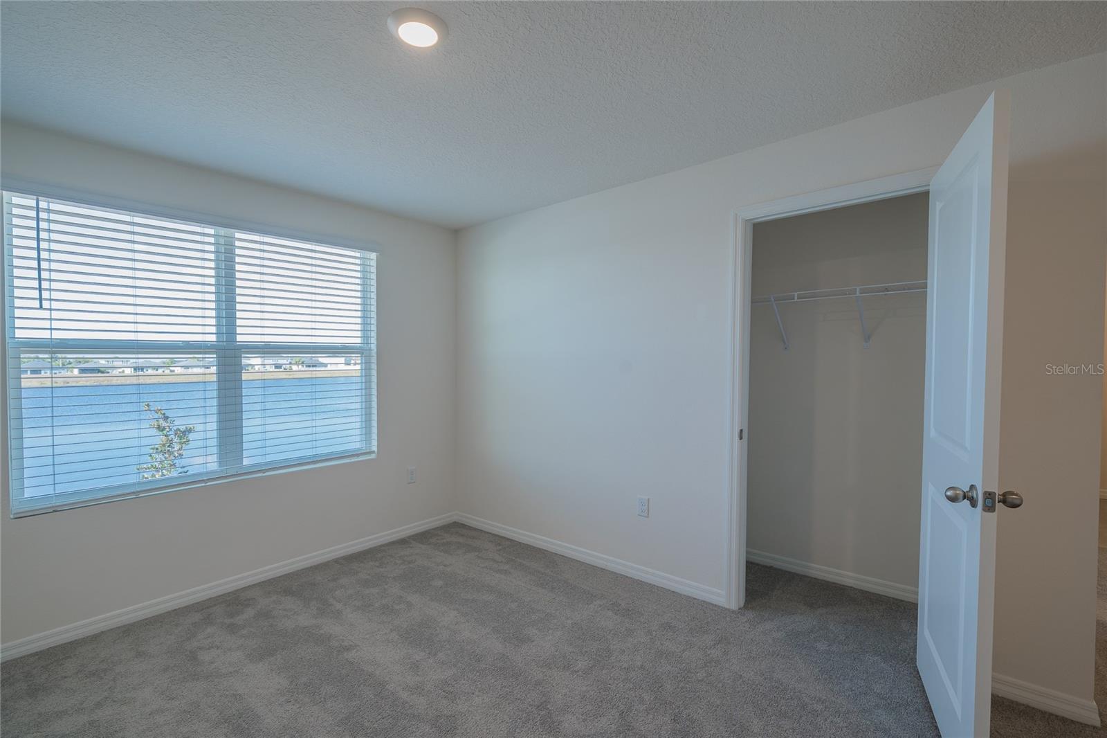 11889 DOWNY BIRCH DR, RIVERVIEW, FL, 33569