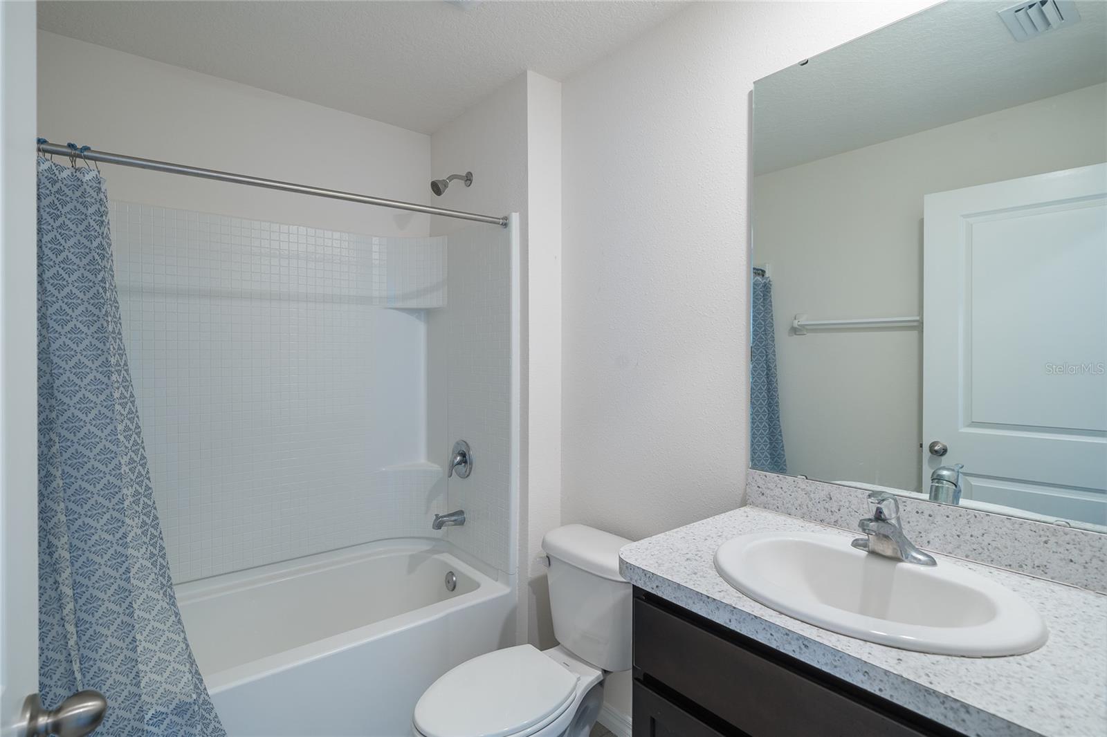 11889 DOWNY BIRCH DR, RIVERVIEW, FL, 33569