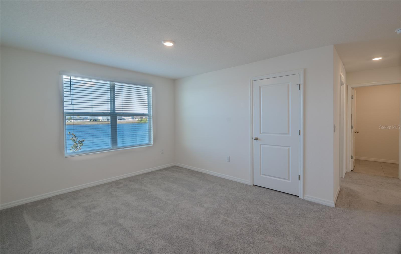 11889 DOWNY BIRCH DR, RIVERVIEW, FL, 33569