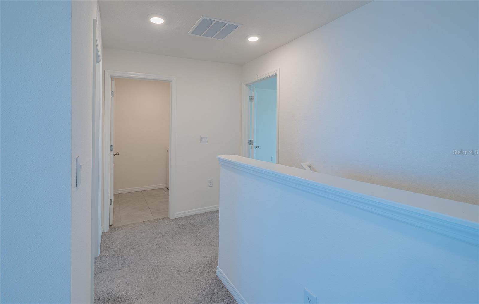 11889 DOWNY BIRCH DR, RIVERVIEW, FL, 33569