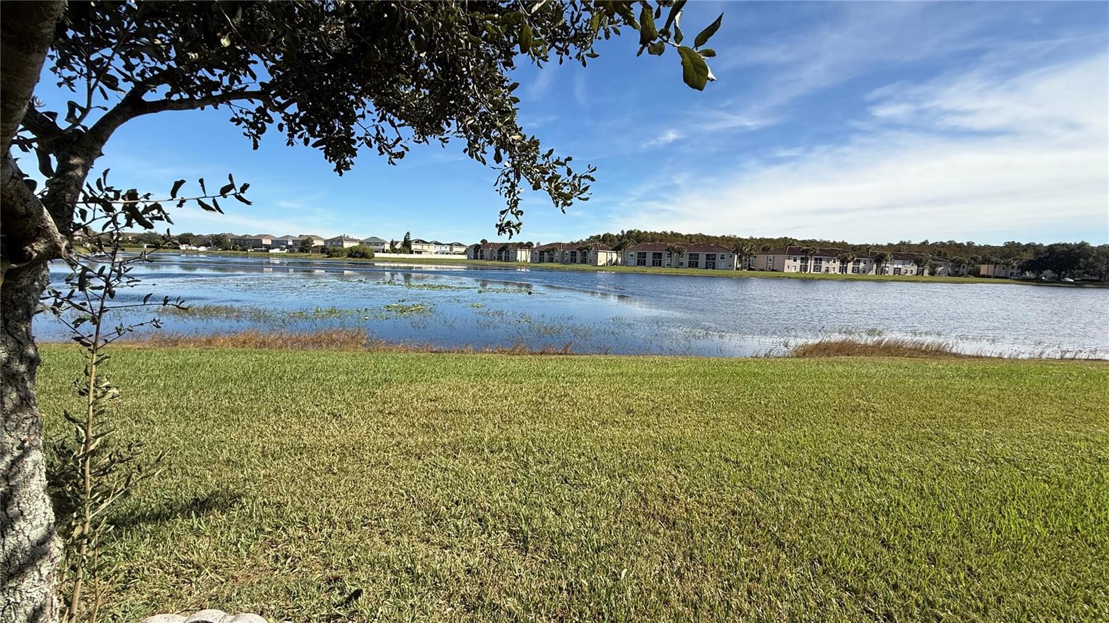 15619 WILLOW ARBOR CIR, ORLANDO, FL, 32824