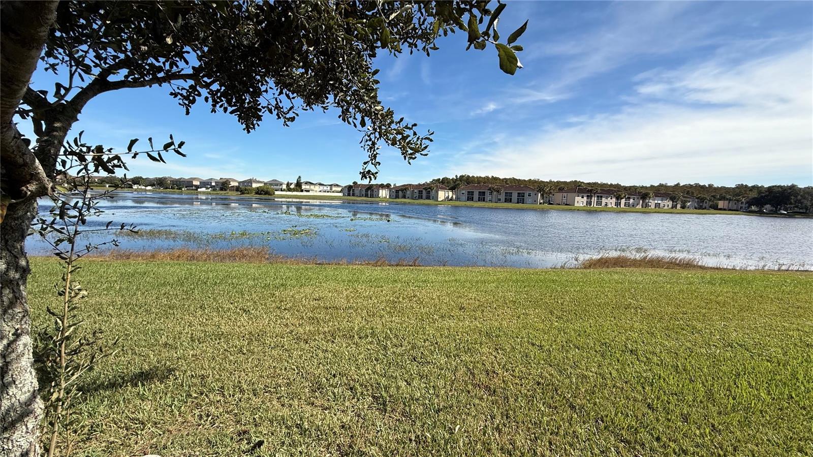 15619 WILLOW ARBOR CIR, ORLANDO, FL, 32824